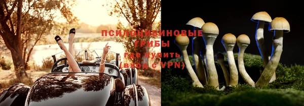 стафф Алзамай