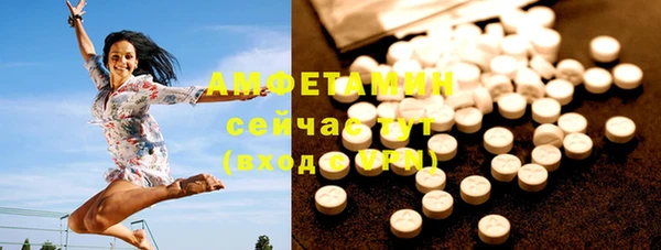 стафф Алзамай